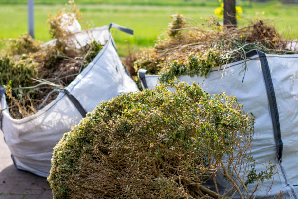 Best Professional Junk Removal  in Apopka, FL